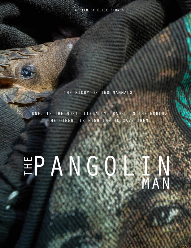 The Pangolin Man film poster